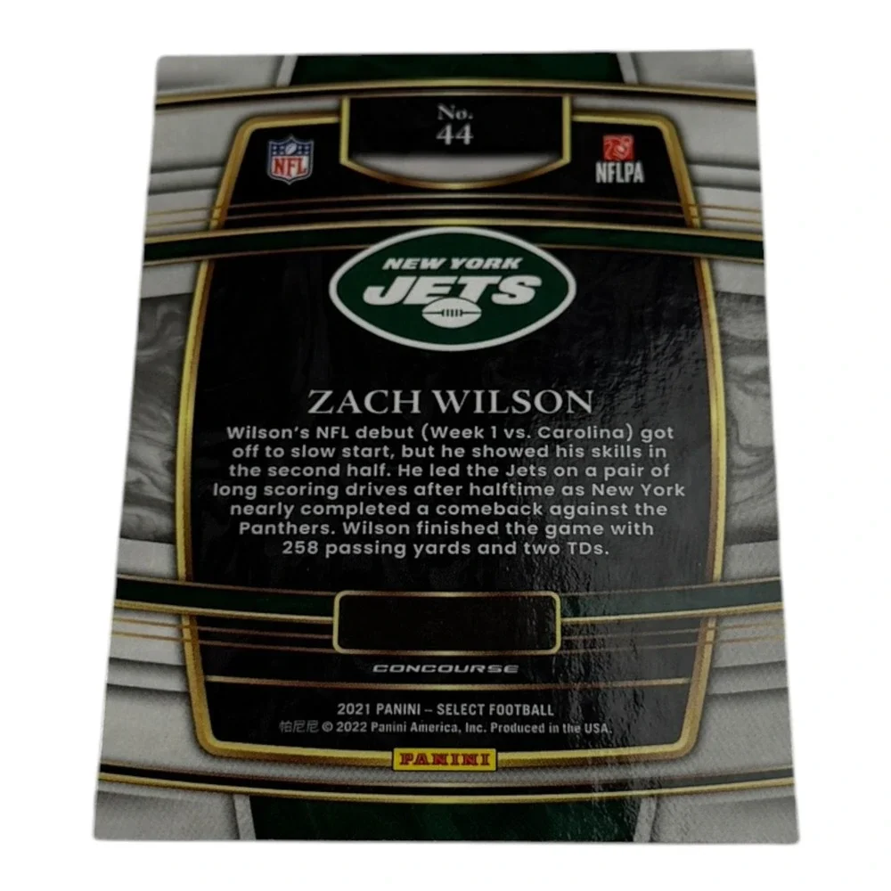 Panini brand series